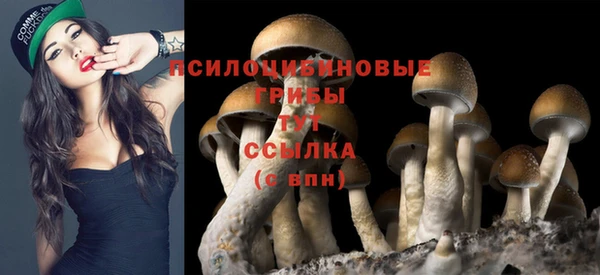 кокаин перу Гусиноозёрск