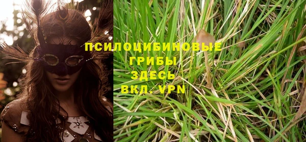 экстази Гусев