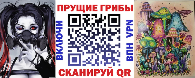 Галлюциногенные грибы Psilocybe  дарнет шоп  Донской 